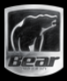 Bear Archery Code Promo