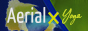 AerialX logo
