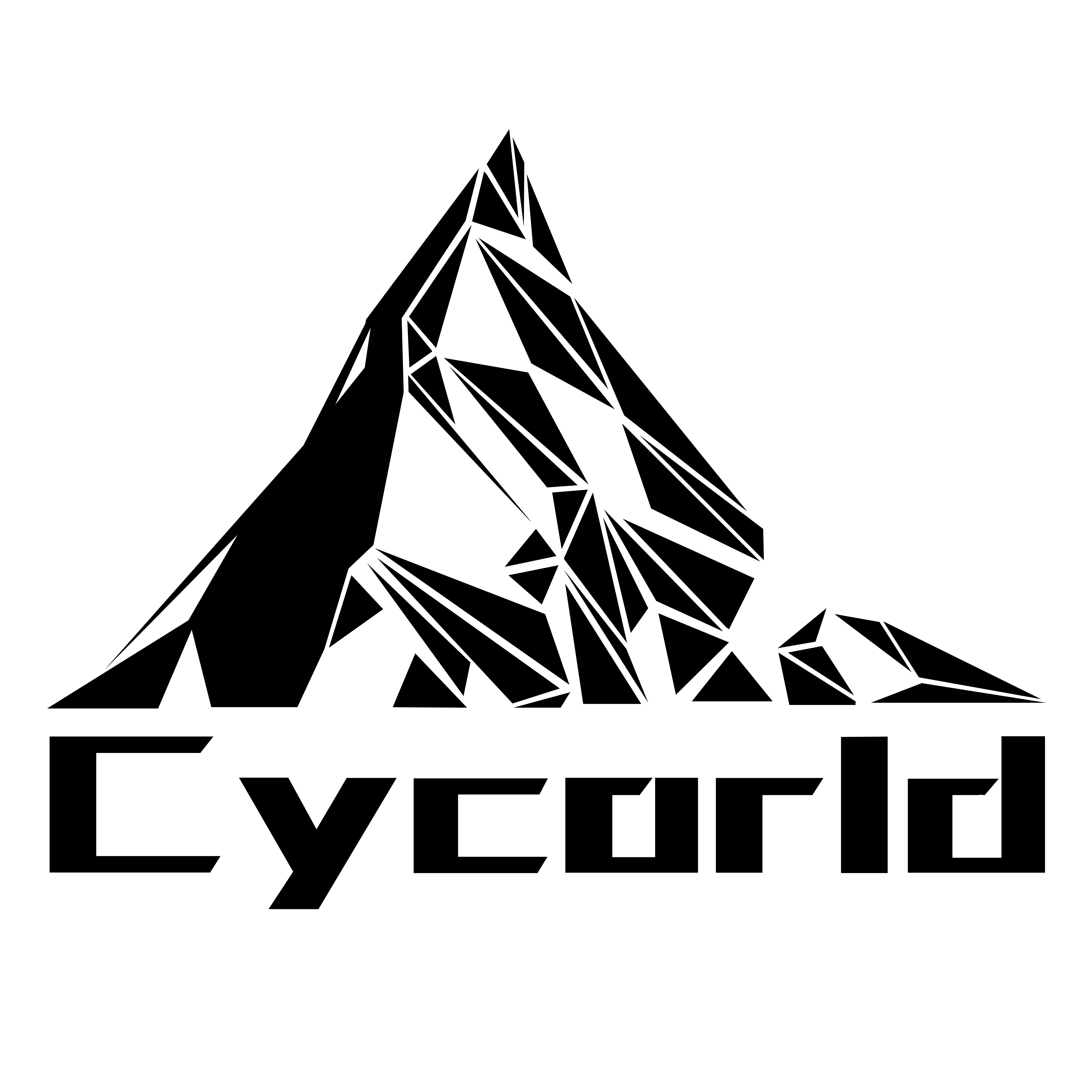 cycorldpro.com