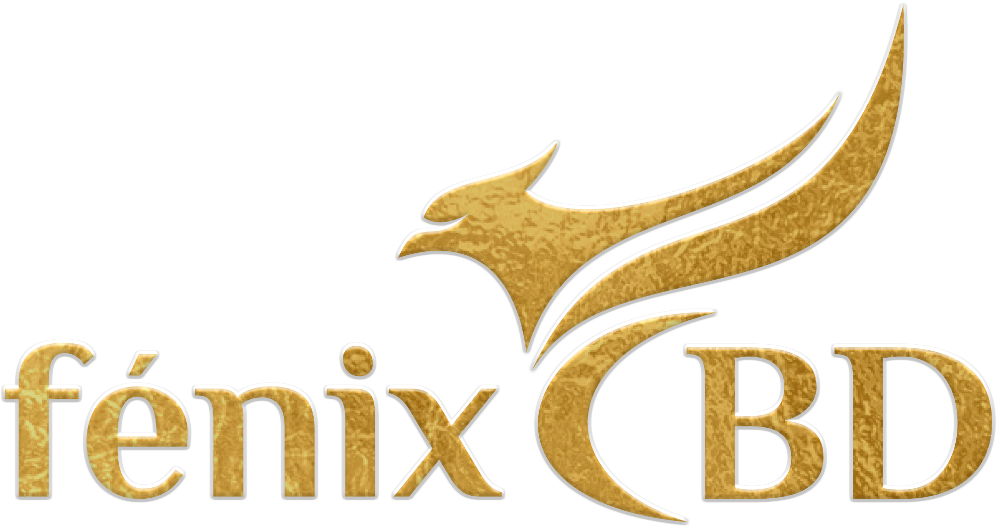 Fenix-Wellbeing-International