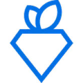 Rare Carat US折扣码 & 打折促销