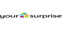 YourSurprise IT logo